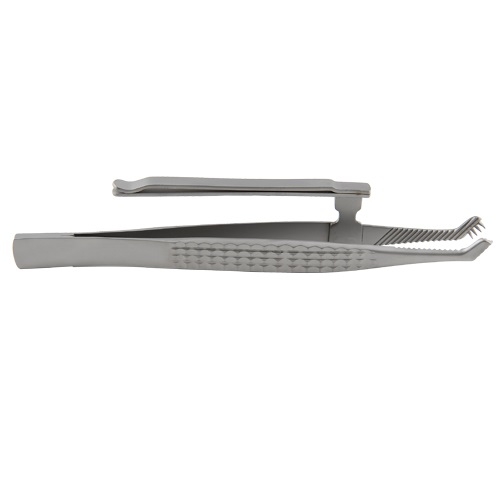 Braithwaite 16cm Extracting Forceps